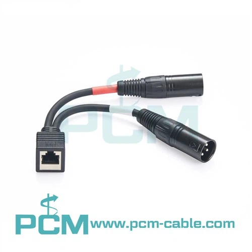 Axia Adapterkabel Dual XLR Male naar RJ45 Female